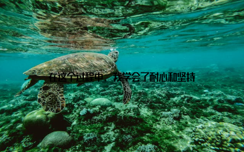 在这个过程中, 我学会了耐心和坚持