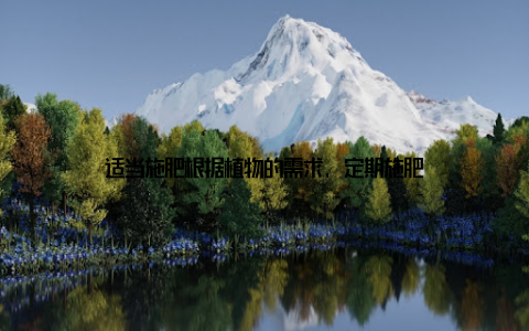 适当施肥根据植物的需求, 定期施肥
