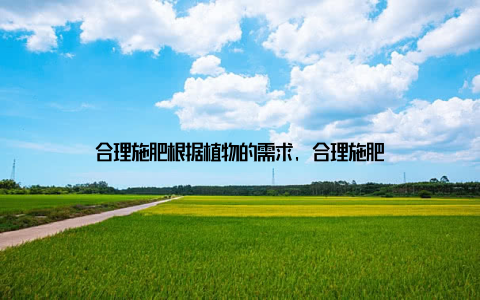 合理施肥根据植物的需求, 合理施肥