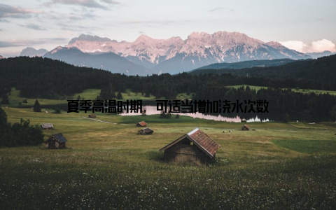 夏季高温时期, 可适当增加浇水次数