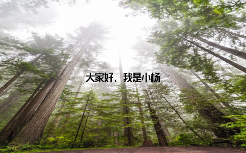 大家好, 我是小杨