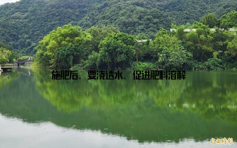 施肥后, 要浇透水, 促进肥料溶解