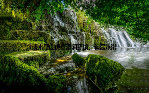 浇水爬山虎喜湿润环境, 但忌水涝
