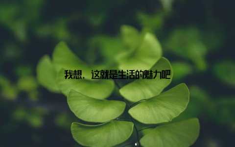 我想, 这就是生活的魅力吧