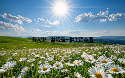 有人说, 盆栽是一种生活态度