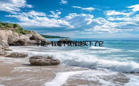 于是, 我毫不犹豫地买下了它