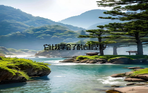 它让我学会了耐心和坚持