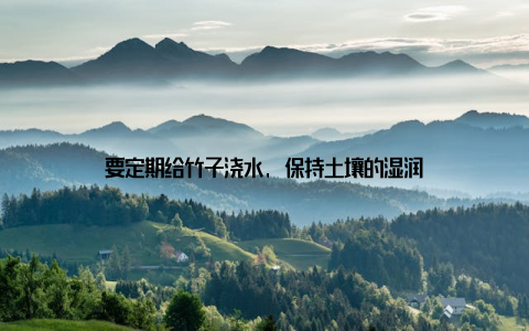 要定期给竹子浇水, 保持土壤的湿润