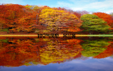 如空气凤梨、吊兰等