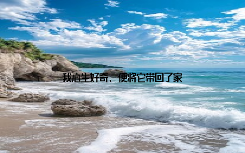 我心生好奇, 便将它带回了家