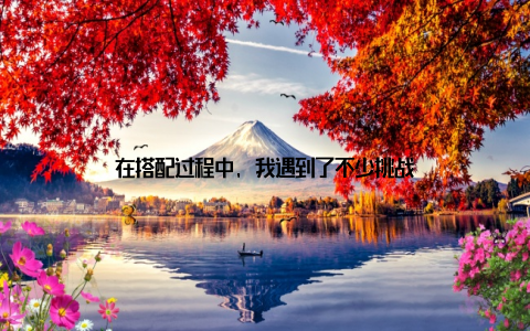在搭配过程中, 我遇到了不少挑战