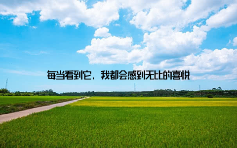 每当看到它, 我都会感到无比的喜悦