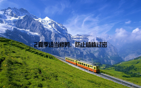 2夏季适当修剪, 防止植株过密