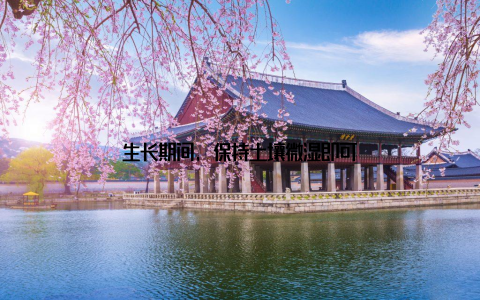 生长期间, 保持土壤微湿即可