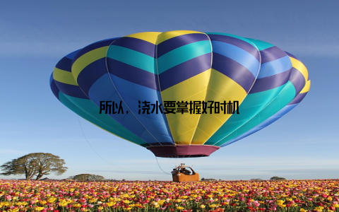 所以, 浇水要掌握好时机