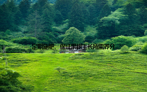 定期施肥, 保证果树生长所需养分