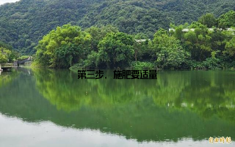 第三步, 施肥要适量
