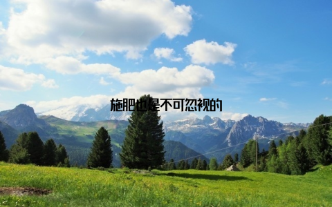 施肥也是不可忽视的