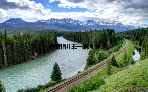 养植物并非一帆风顺