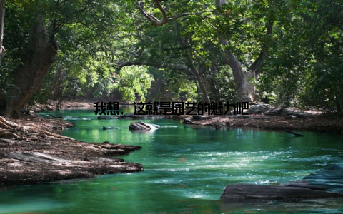 我想, 这就是园艺的魅力吧