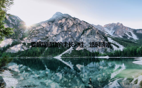要根据植物的生长习性, 适时浇水
