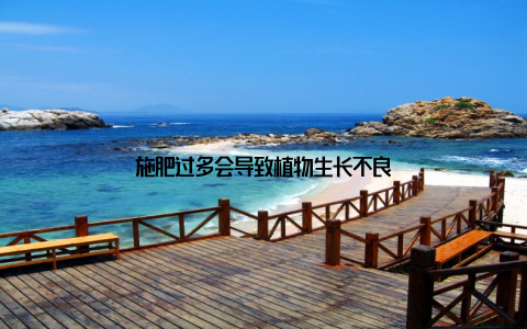 施肥过多会导致植物生长不良