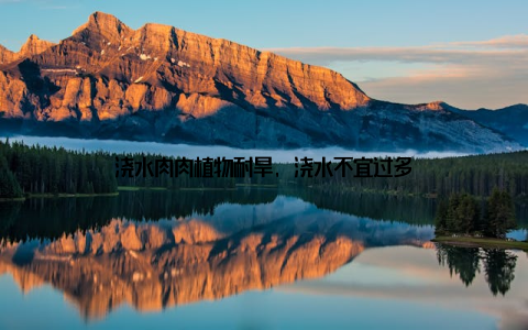 浇水肉肉植物耐旱, 浇水不宜过多