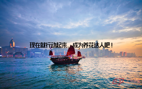 现在就行动起来, 成为养花达人吧!