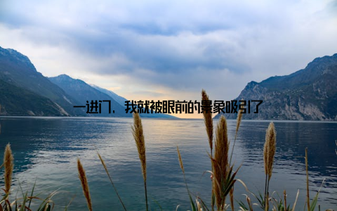 一进门, 我就被眼前的景象吸引了