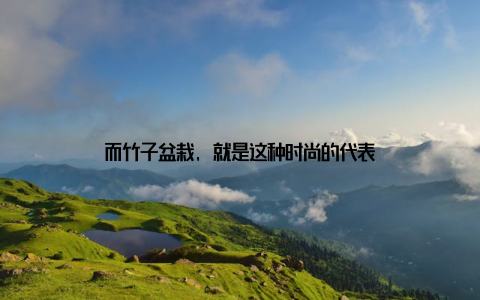 而竹子盆栽, 就是这种时尚的代表