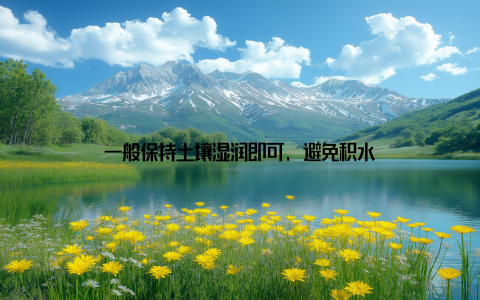 一般保持土壤湿润即可, 避免积水