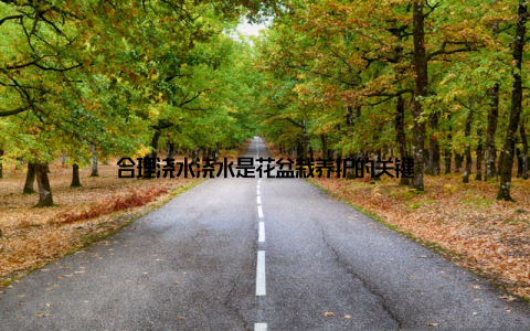 合理浇水浇水是花盆栽养护的关键