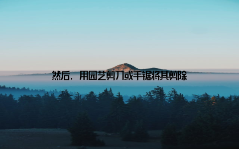 然后, 用园艺剪刀或手锯将其剪除