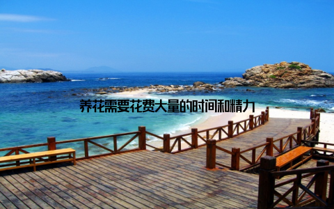 养花需要花费大量的时间和精力