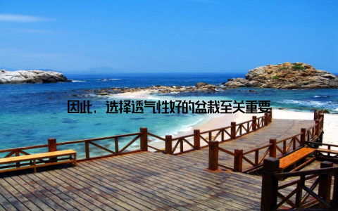 因此, 选择透气性好的盆栽至关重要
