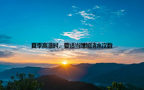 夏季高温时, 要适当增加浇水次数