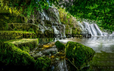 我学会了如何照顾它, 如何与它互动