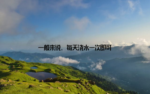 一般来说, 每天浇水一次即可