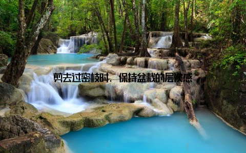 剪去过密枝时, 保持盆栽的层次感