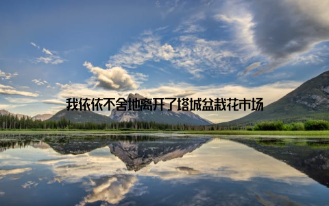 我依依不舍地离开了塔城盆栽花市场