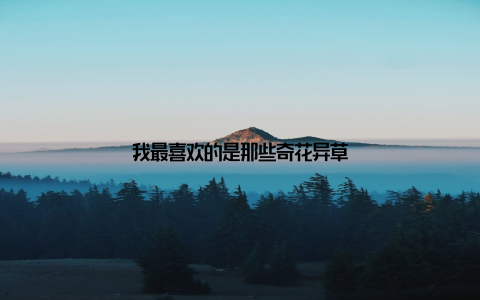 我最喜欢的是那些奇花异草