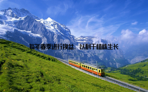 每年春季进行换盆, 以利于植株生长