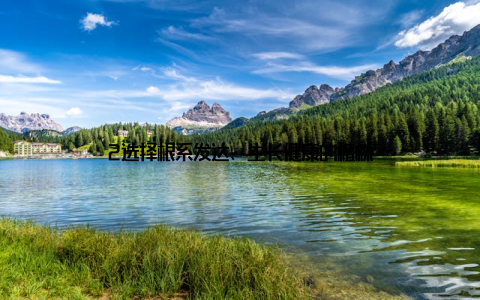 2选择根系发达、生长健康的植株