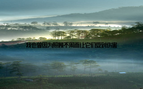 我也曾因为照顾不周而让它们受到伤害