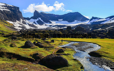 而矮牵牛盆栽, 正是这份生机的象征