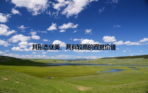 其形态优美, 具有较高的观赏价值