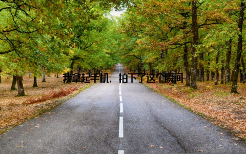 我拿起手机, 拍下了这个瞬间